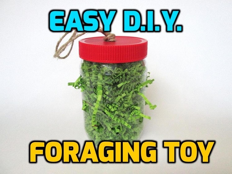 Easy, D.I.Y Small pet foraging toy!