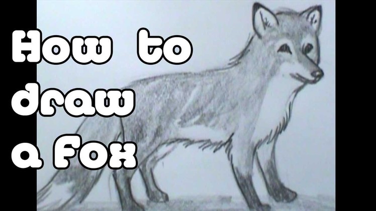How to draw a Fox