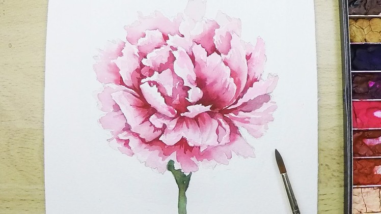 [LVL4] How to paint a Carnation Flower in watercolor