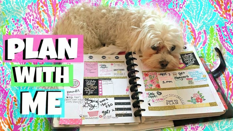 Plan With Me | June in my Happy Planner!