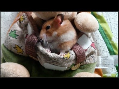 Tiny hamster in a tiny backpack
