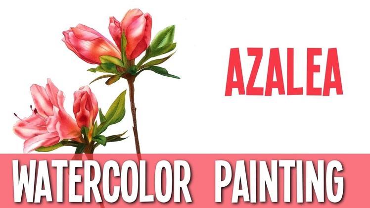 Watercolor Painting Demo - Azalea (botanical painting)