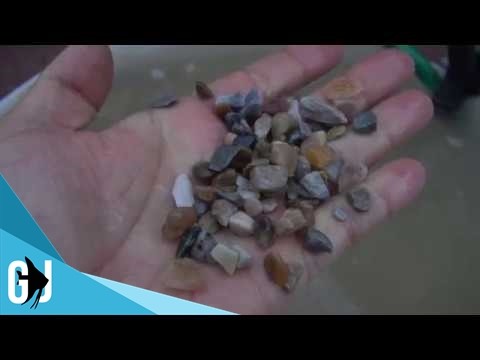 #476: Clay Pebbles vs Gravel for Aquaponics - DIY Wednesday