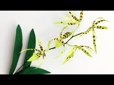 ABC TV | How To Make Brassia Orchid Paper Flower From Crepe Paper - Craft Tutorial