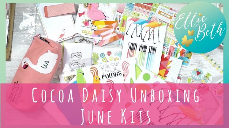 Cocoa Daisy Unboxing - June Kits! Daisy Dori (standard & mini), Planner Add On & more