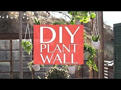 DIY Plant Wall for Small-Space Gardeners - HGTV