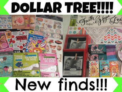 Dollar Tree Haul + Organizing Ideas!!????