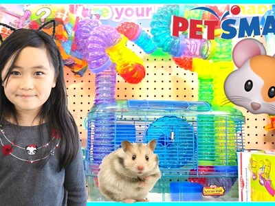 First pet Hamster at Petsmart Shopping for Hamster at PetSmart, DIY slime Michaels