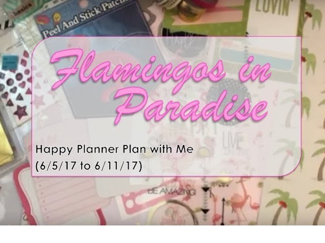 Flamingos in Paradise - Happy Planner Plan with Me (6.5.2017 to 6.11.2017)