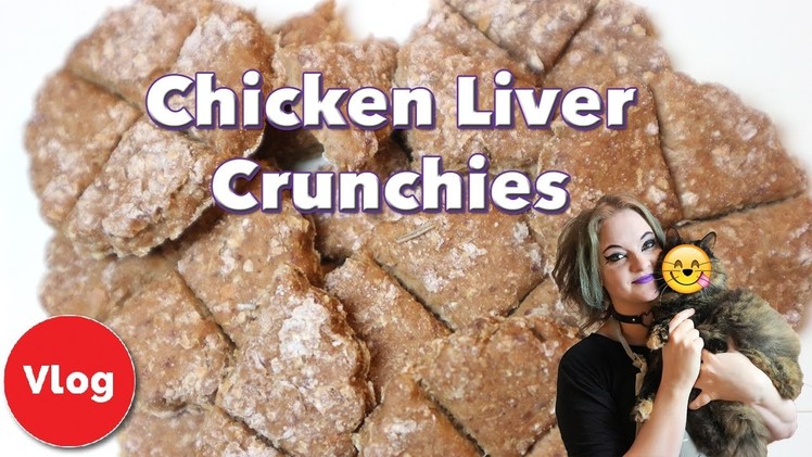 How to Make Chicken Liver Crunchies! Nutritious Homemade Treats For Your Cat! + COMPETITION!
