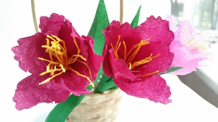Paper flowers tulip diy tutorial easy From crepe paper tutorial making realistic paper flowers