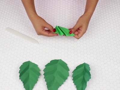 Simple Handcut Leaf