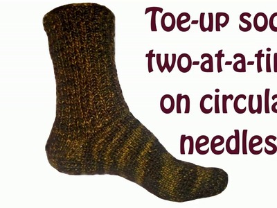 Toe-up socks two-at-a-time on circular needles