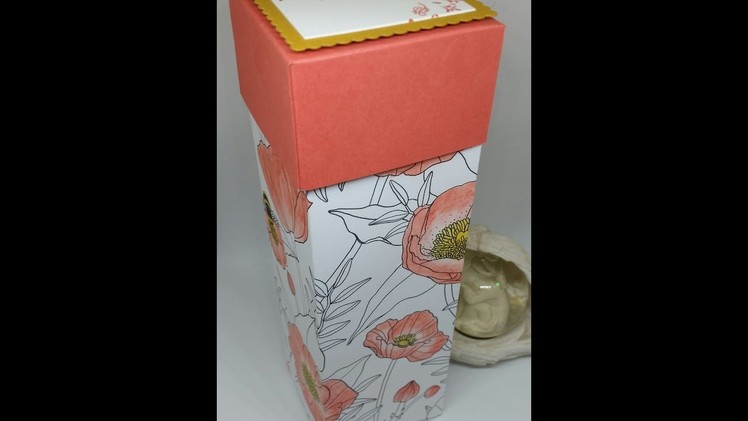 #6 SAB Week Tall Gift Box Using Inside The Lines DSP