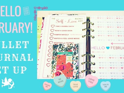 BULLET JOURNAL Monthly | January Wrap Up and FEBRUARY Set Up