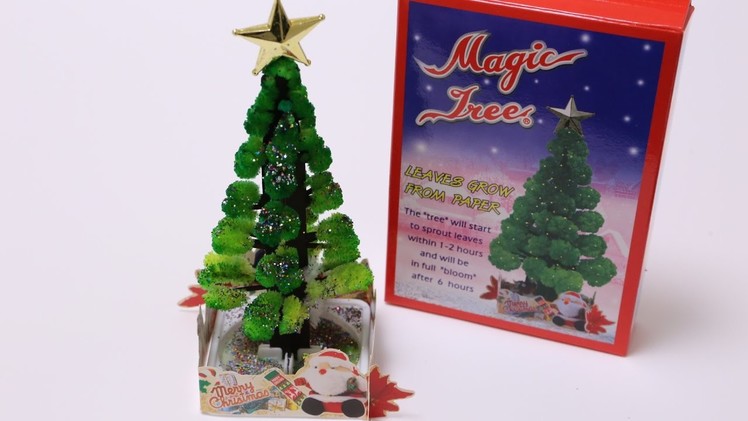 Magic Tree Making Kit