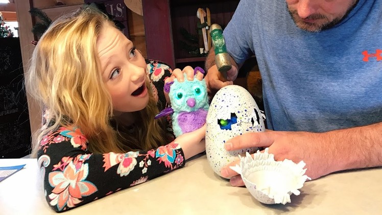 Never use a Hammer to open Hatchimals opening Burtle and Draggle