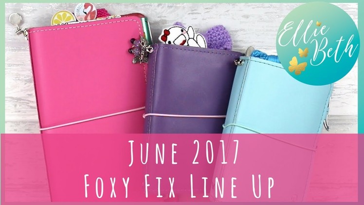 Planner Line Up Part 2: Foxy Fix Numbers 2 and 6 - my journal, faith planner, craft planner and EDC!