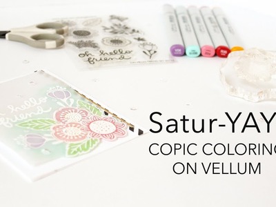 Satur-YAY! 6.24.2017 - Copic Coloring On Vellum