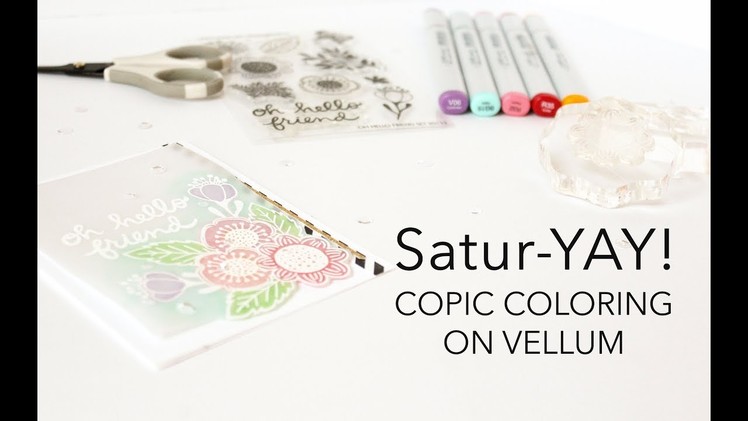 Satur-YAY! 6.24.2017 - Copic Coloring On Vellum