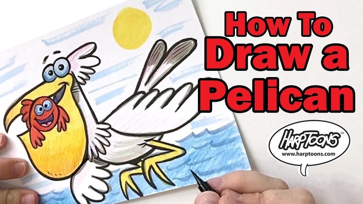 How to Draw a Pelican - Harptoons
