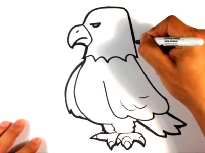 How to Draw an Eagle - Cute - Easy Pictures to Draw