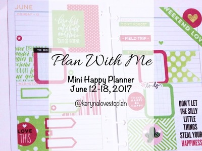 Plan With Me Mini Happy Planner (Pink & Green): June 12-18, 2017