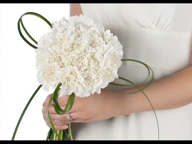 White Carnation Flower Bouquet Beautiful Picture Collection Set And Ideas