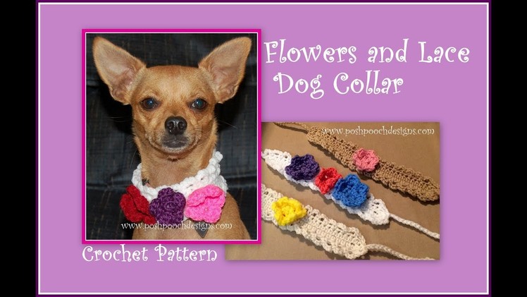 Flowers and Lace Dog Collar Crochet Pattern