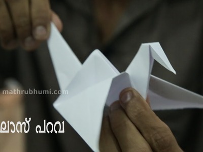 How to make a Paper bird