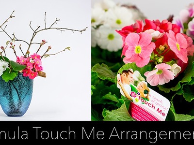 Primula Touch Me Flower Arrangement | Ikebana Beautiful