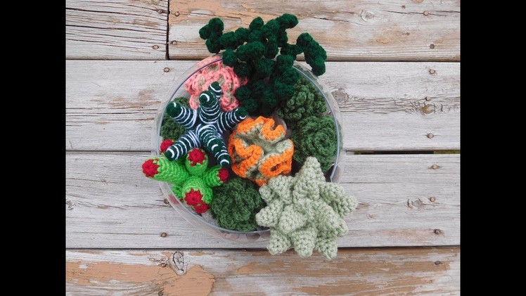 Crochet Succulent Garden Tutorial