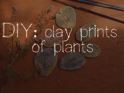 DIY: clay prints of plants