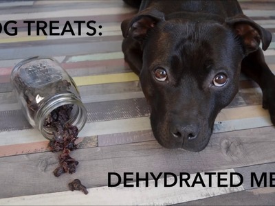 DIY Dog Treats - Dehydrated Meat (Oven)