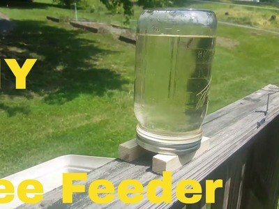 DIY Simple Bee Feeder