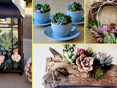 ????DIY Succulent Plant Terrarium Ideas I Home Decor ideas 2017 I????