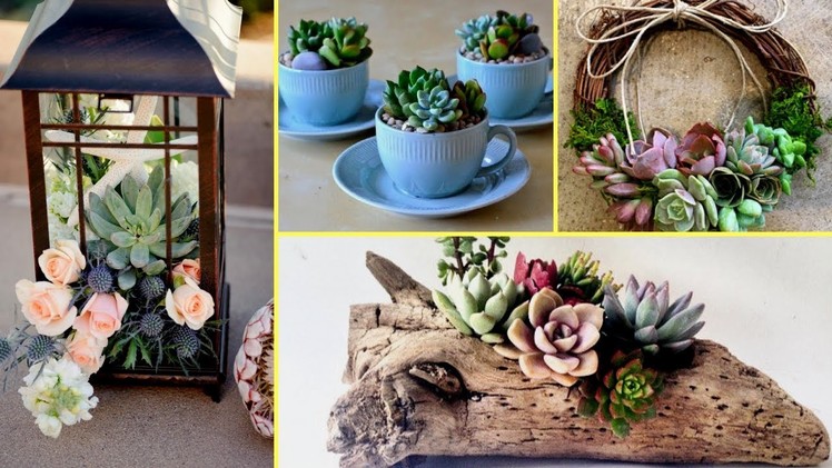 ????DIY Succulent Plant Terrarium Ideas I Home Decor ideas 2017 I????