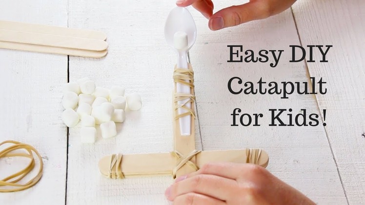 Easy DIY Catapult for Kids