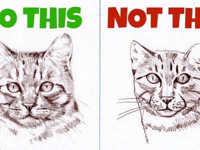 Sketching Animals: How to Draw a Realistic Cat