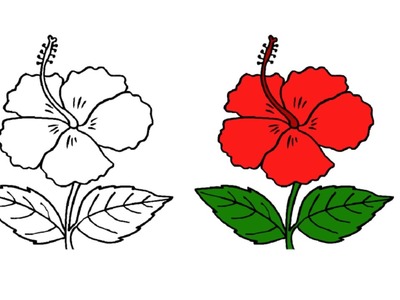 Fun to Drawing | Easy And Simple Way draw a Flower China Rose