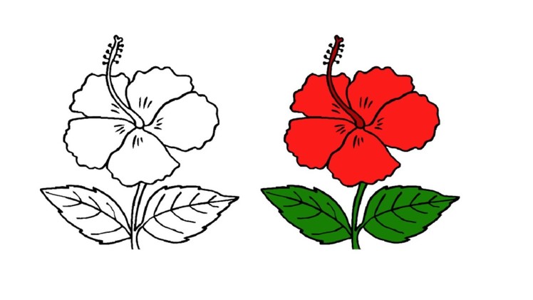 Fun to Drawing | Easy And Simple Way draw a Flower China Rose