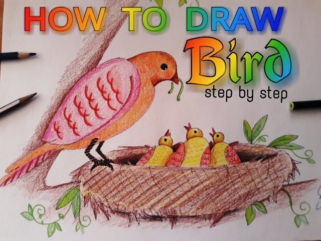 How to draw a bird sitting on a nest very easy