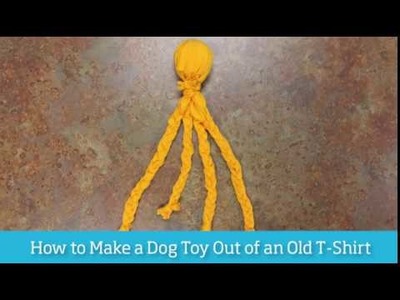 How to Make a Dog Toy Out of an Old T-Shirt | Lennar's How to U
