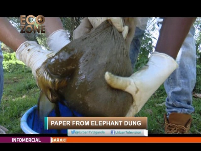Ecozone[1.2]: Making Paper From Elephant Dung