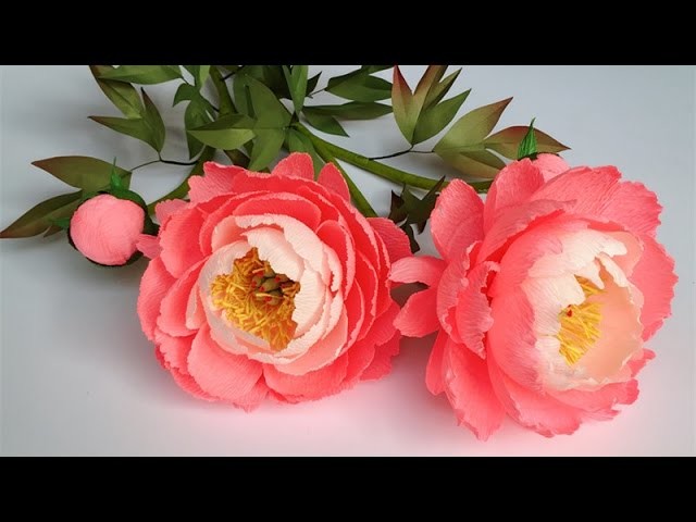 ABC TV | How To Make Coral Charm Peony Paper Flower From Crepe Paper - Craft Tutorial