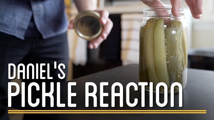 Daniel's Pickle Reaction | How to Make Everything