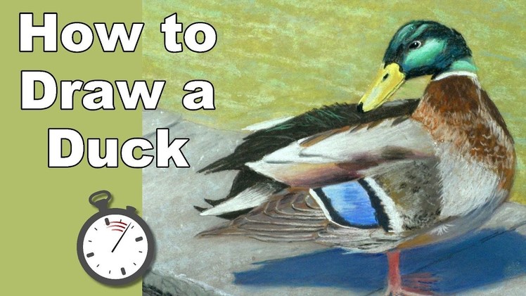 How to Draw a Mallard Duck at a Pond in Pastel Time Lapse