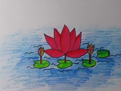 How to draw our National Flower Water Lily | Shapla