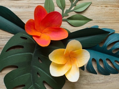 How To Make A Paper Tropical Flower - Plumeria