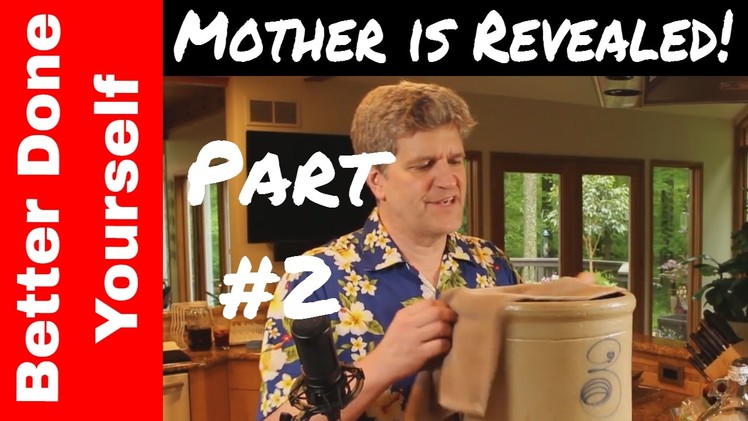 How to Make Apple Cider Vinegar - Part 2 - The Mother's Revelation